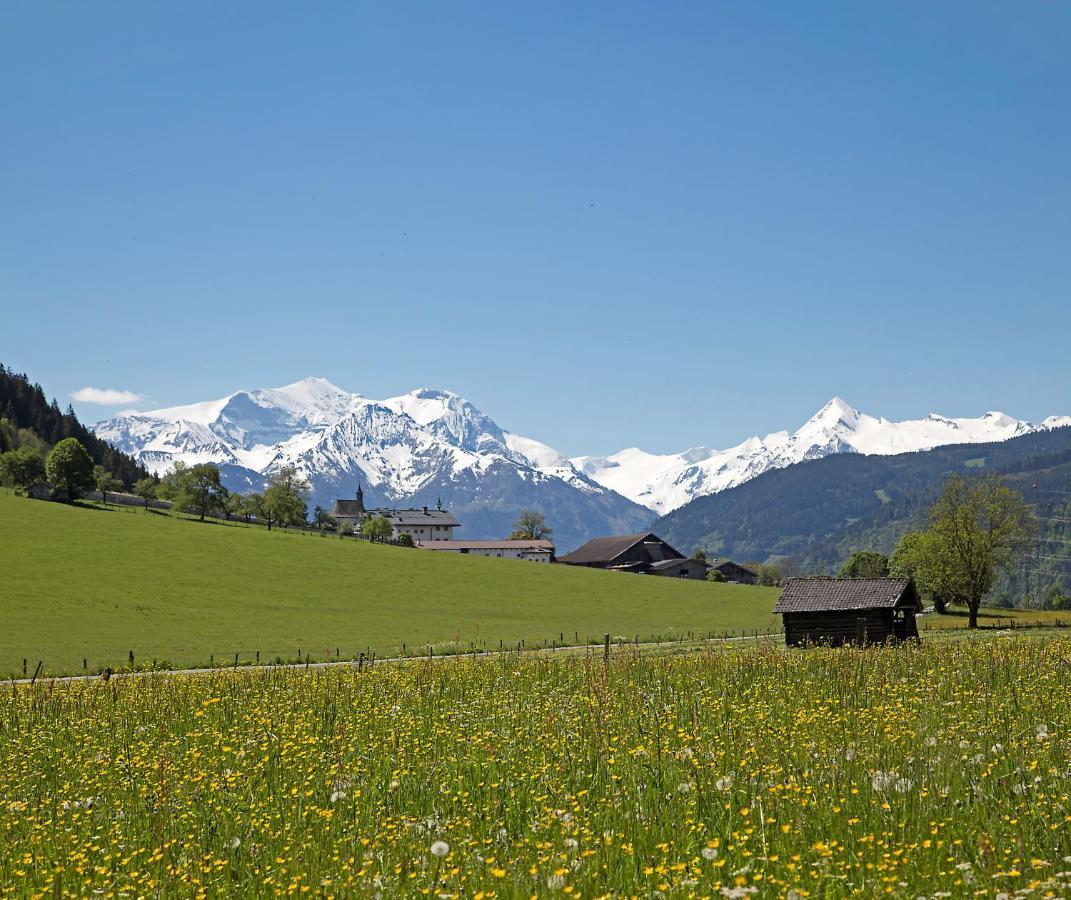Gartenwohnung Robinigg Maishofen Bagian luar foto