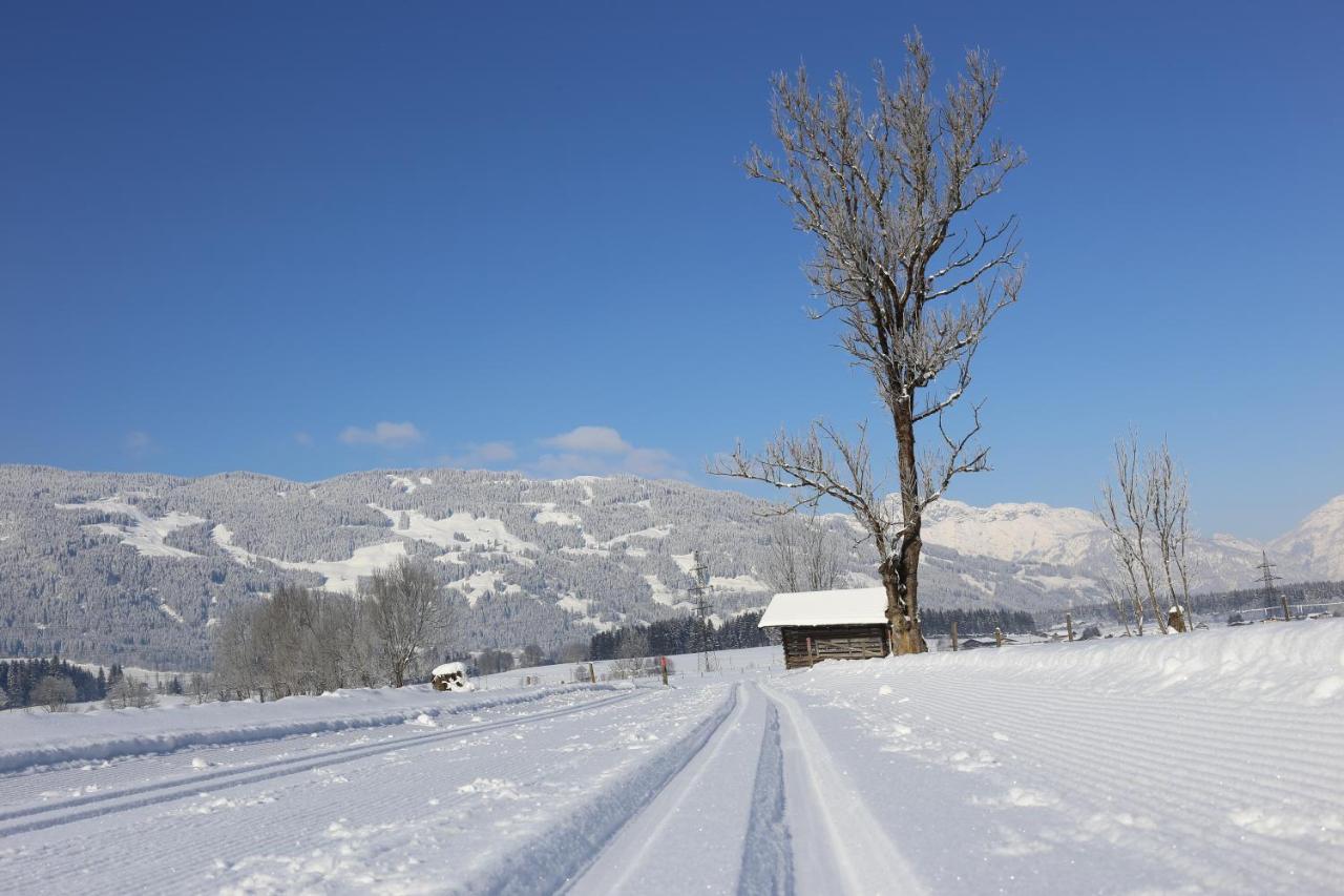 Gartenwohnung Robinigg Maishofen Bagian luar foto