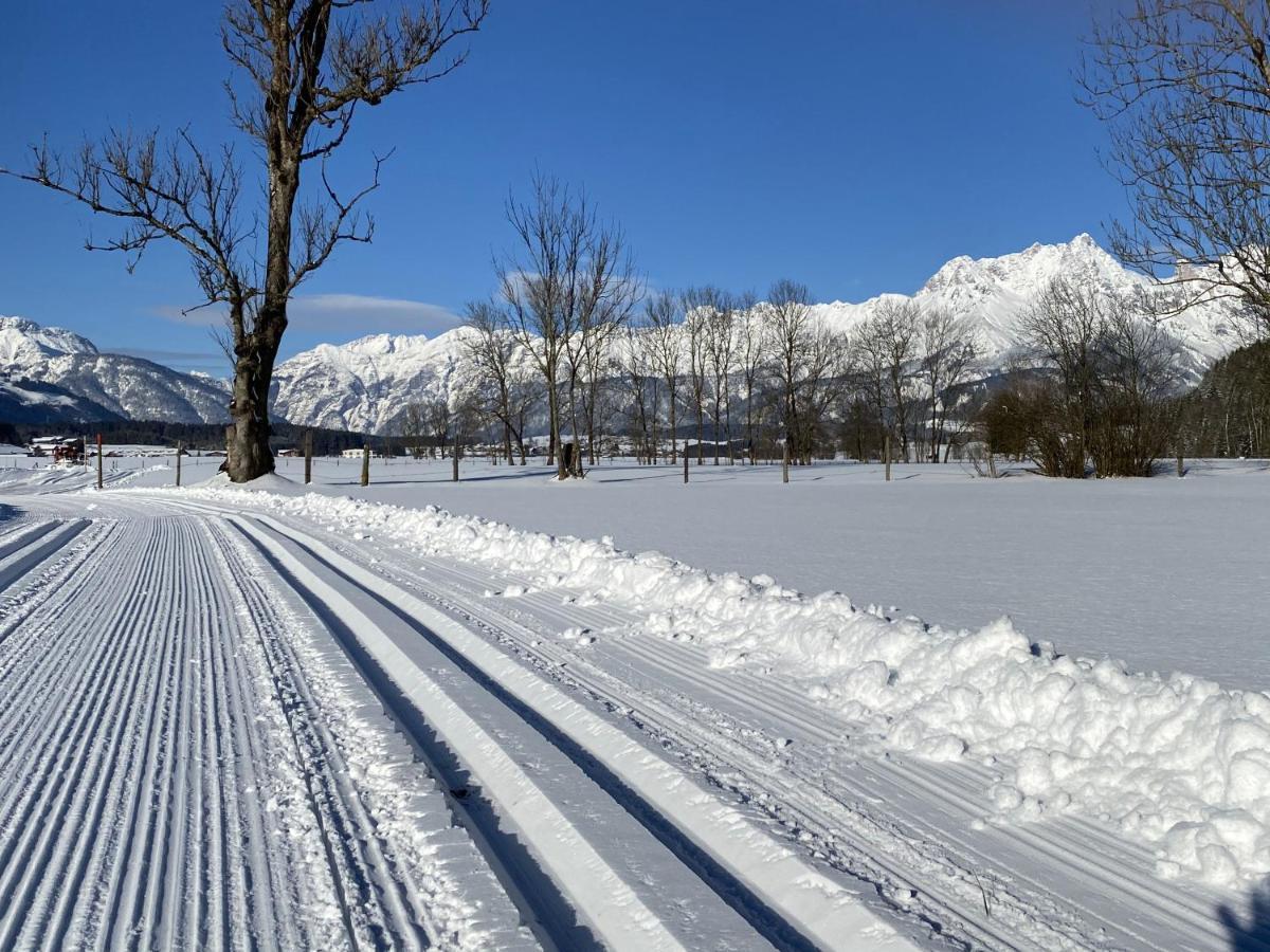 Gartenwohnung Robinigg Maishofen Bagian luar foto