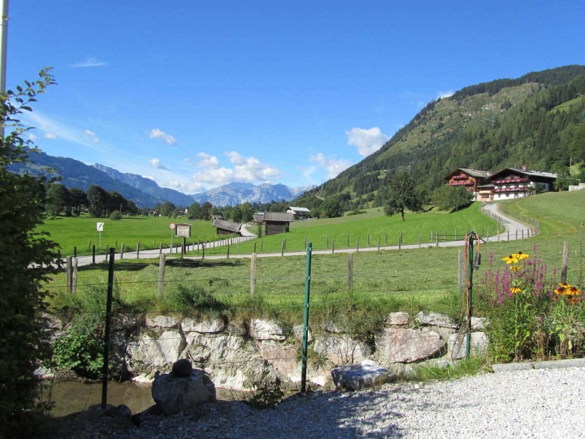 Gartenwohnung Robinigg Maishofen Bagian luar foto