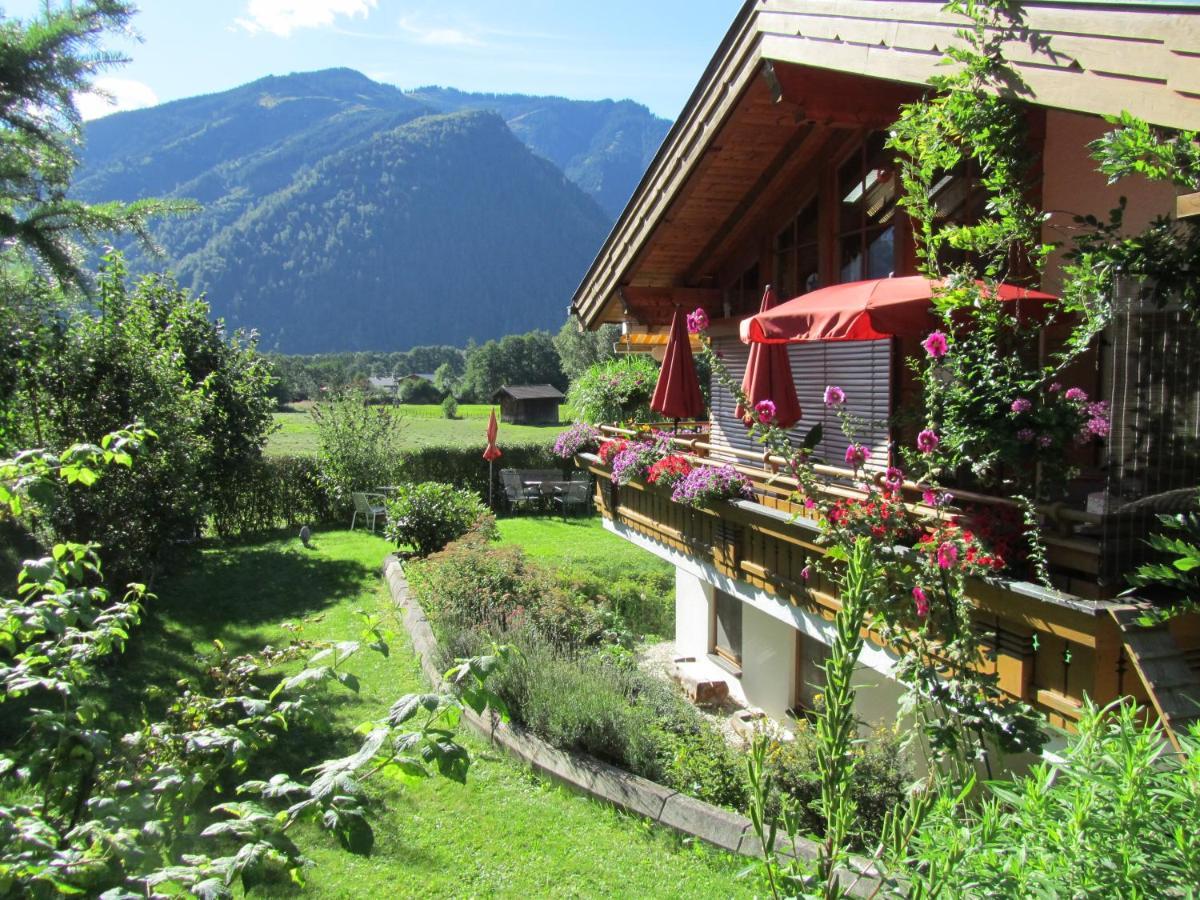 Gartenwohnung Robinigg Maishofen Bagian luar foto