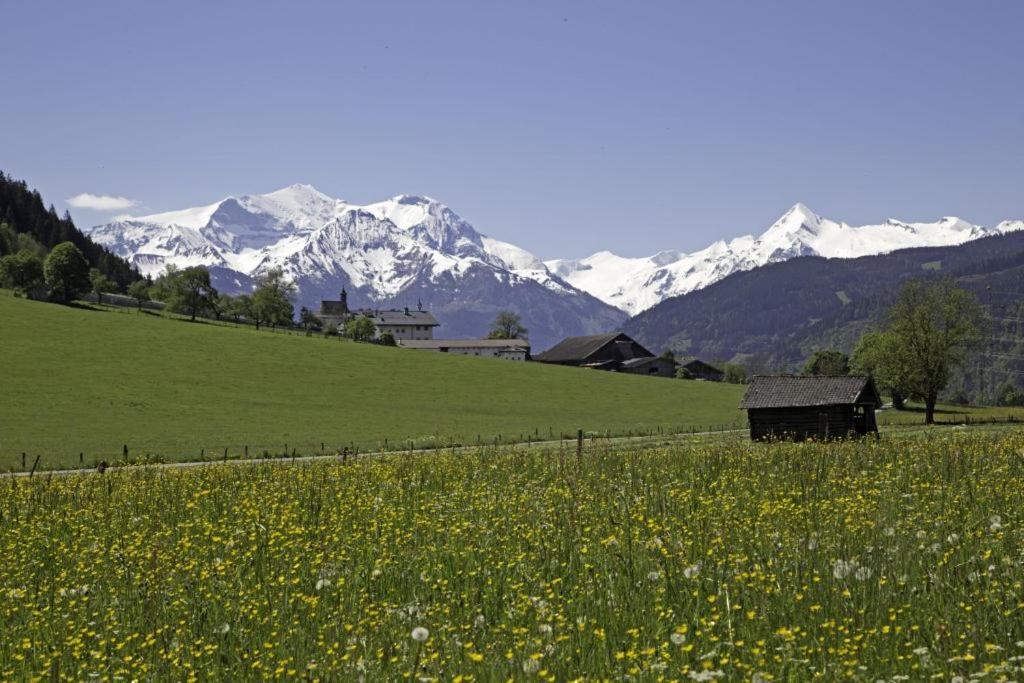 Gartenwohnung Robinigg Maishofen Bagian luar foto